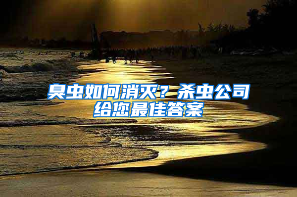 臭蟲如何消滅？殺蟲公司給您最佳答案