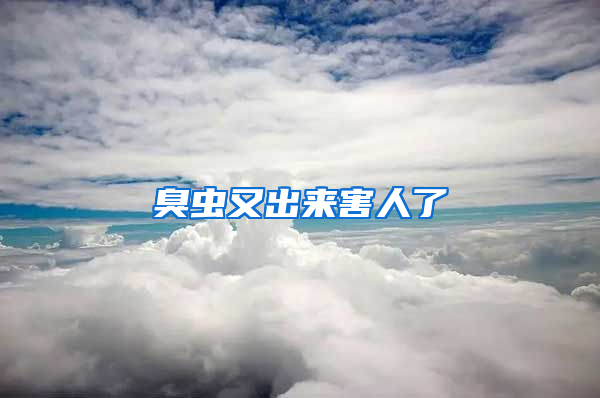 臭蟲又出來害人了