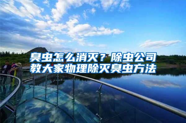 臭蟲怎么消滅？除蟲公司教大家物理除滅臭蟲方法