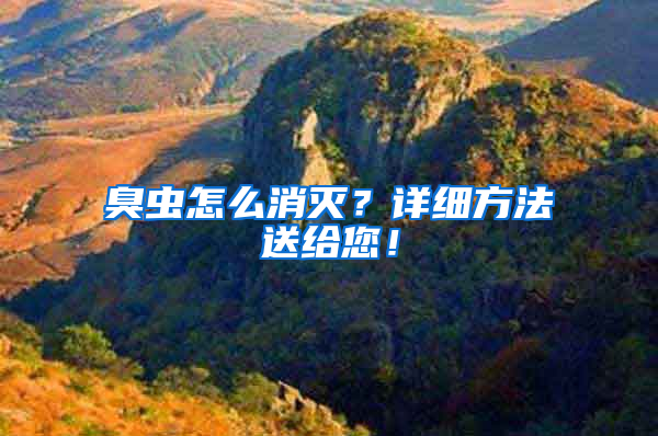臭蟲怎么消滅？詳細方法送給您！