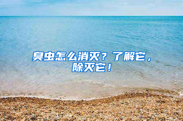 臭蟲怎么消滅？了解它，除滅它！