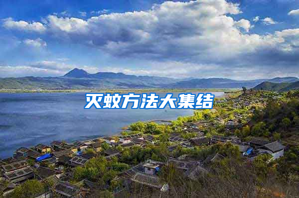 滅蚊方法大集結(jié)