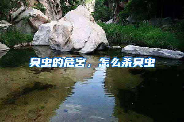 臭蟲的危害，怎么殺臭蟲