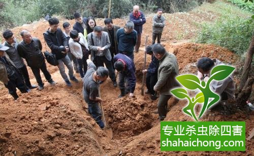 防治白蟻,白蟻防治方法 白蟻怎么治,怎么防治白蟻方法